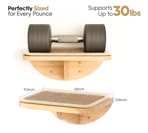 Cat Wall Shelves (Combo B (1 Sisal-Mat Bed, 2 Steps) / Normal)
