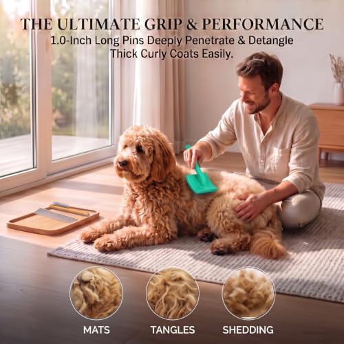 Slicker Brush for Dog (Large / Green)