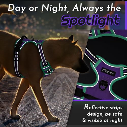 Dog Harness for Large Dogs (Large / Purple & Turquoise)