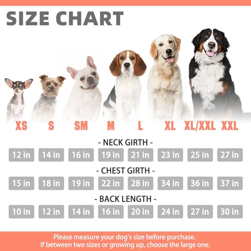Fall Dog Clothes Thanksgiving Pet Hoodie Sweater for Small Dogs (Orange / Small/Medium)