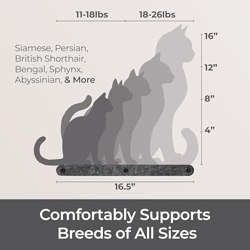 Cat Wall Shelf (Charcoal / 1 Long Cat Climber)