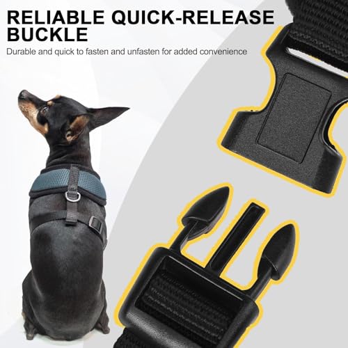 Small Dog Harness (XS (NECK: 10", CHEST: 10"-14") / Navy Blue)