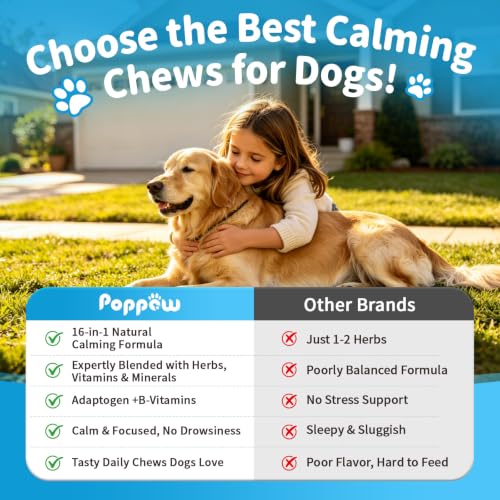 Calming Chews for Dogs (90 Count_1)