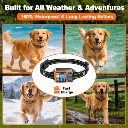 Wireless Dog Fence