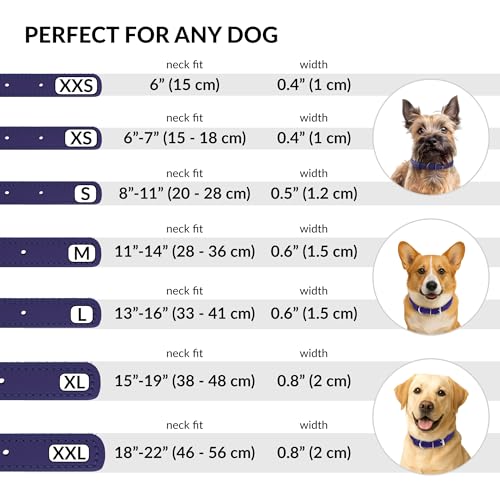 Tangle Free Rolled Leather Dog Collar (Purple / L)