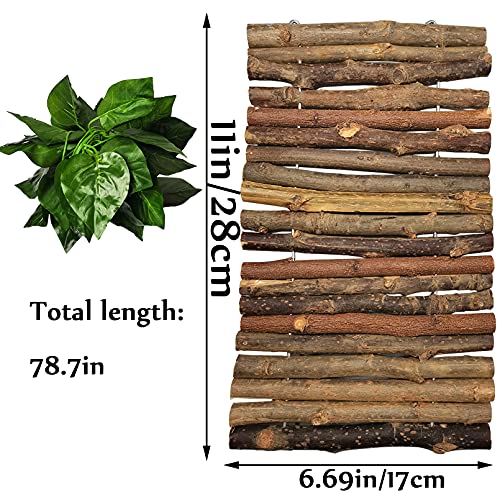 11.8 x 6.7 Inches Wooden Reptile Hideout Bearded Dragon Bendy Bridge Climbing Ladder Hiding Hut Reptiles Hide Cave Habitat Decor for Lizards Gecko Spiders Snakes Tortoise