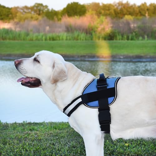 Dog Harness Reflective No (Blue / Girth 33" to 46")