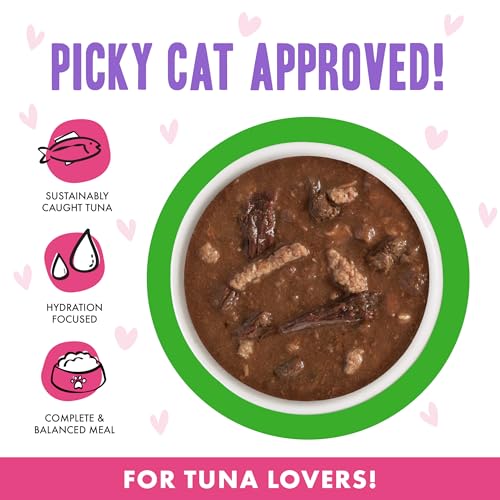 B.F.F. OMG Best Feline Friend Oh My Gravy! (2.8 Ounce (Pack of 12))