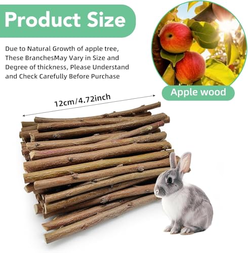 1 LB (16oz) Natural Apple Wood Chew Sticks for Rabbits, Hamsters, Chinchillas - Extra Hard Teeth Grinding Toy | Untreated, Safe & Long-Lasting Rodent Chews