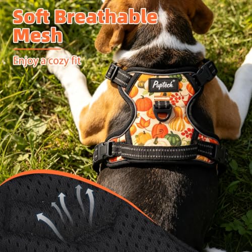No Pull Fall Dog Harness for Large (Yellow(Pumpkin) / Large)