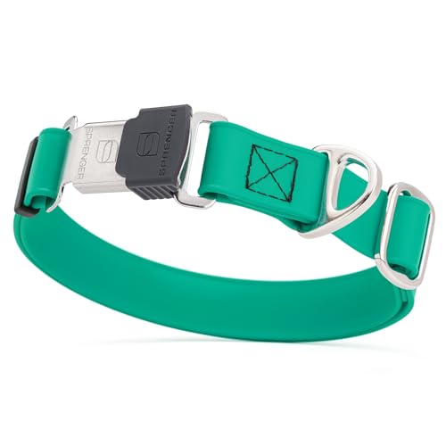 Biothane Waterproof Dog Collar with Herm Sprenger Stainless Steel Quick Release Buckle (W 1" x L 15"-25" / Teal)