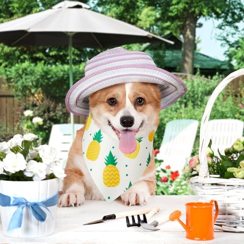 50 Pcs Fruit Dog Bandanas Bulk for Summer Soft Bibs Adjustable Triangle pet Bandana for Small Medium Large Costume (Fruits Pattern / 19.7 x 13.8 x 13.8 Inch)