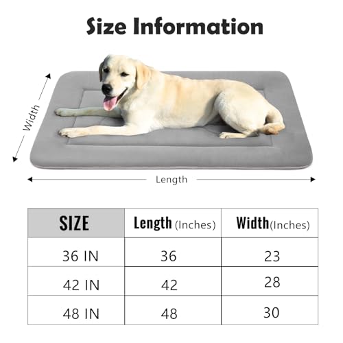 Dog Bed 36 in Non (36.0"L x 23.0"W x 1.2"Th / Clay Gray)
