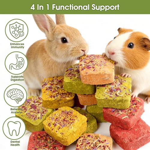 Multiple Flavors Bunny Toys Rabbit Chew Blocks for Teeth Grinding