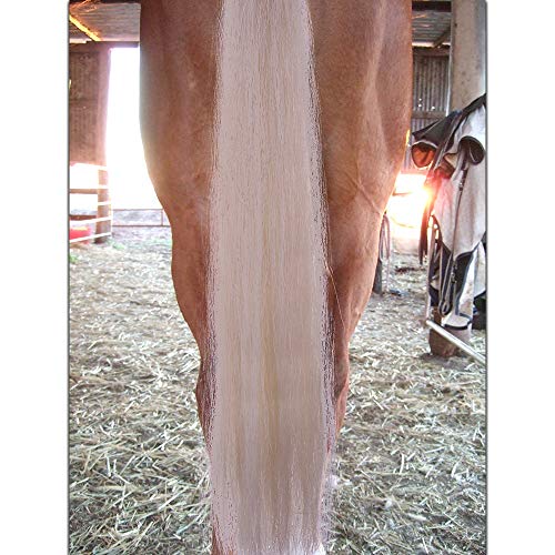 Horse Tail Extensions with Braided Horsehair Loop (3/8 LB (28"-30") / Pure White)