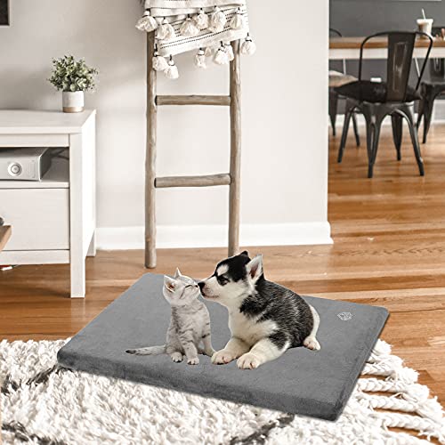 Dog Bed Mat Crate Pad Mattress (Grey / S(23"*16"*3"))