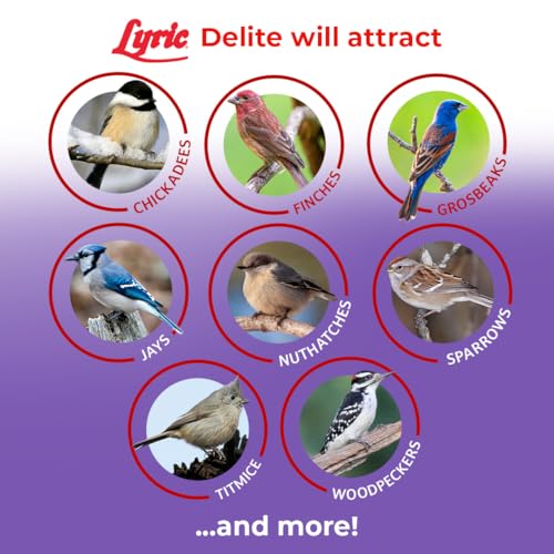 Delite Wild Bird Seed Shell (5 Pound (Pack of 1))