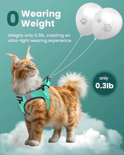 Cat Harness and Leash Set (Green / S(Chest 8-10"))