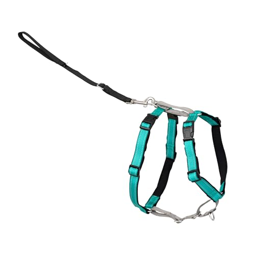 Easy Walk 3 in 1 No Pull Dog Harness (Teal / Large (Pack of 1))