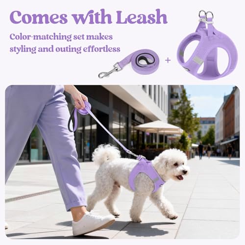Dog Harness Small Sized and Leash Set (Light Purple / Xxxs (chest: 10.8 - 11.8"))
