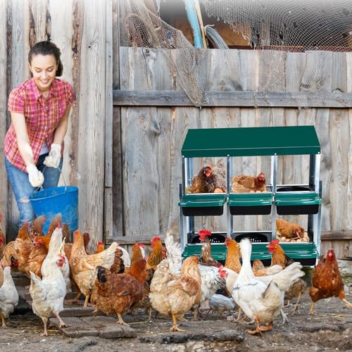 Chicken Nesting Box (Green- 6 compartment with legs)