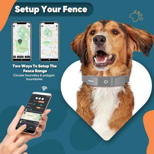 GPS Wireless Dog Fence (Grey)