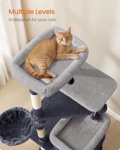Cat Tree Indoor (L (21"L x 18"W x 60"H) / Dark Gray)