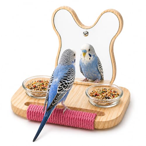 Bird Mirror with Perch and Feeder (5.9 inch)
