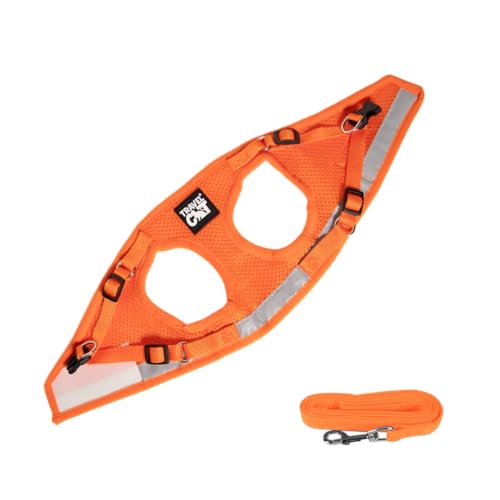 Travel Cat Harness and Leash Set (Small / Orange)