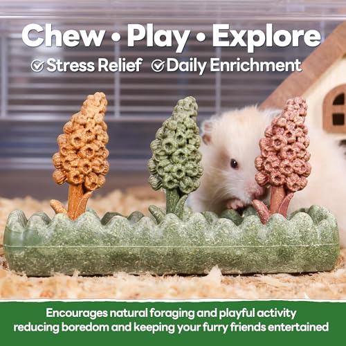 4PCS Guinea Pig Chew Toys (4PCS-Grass Patch & Hyacinth)