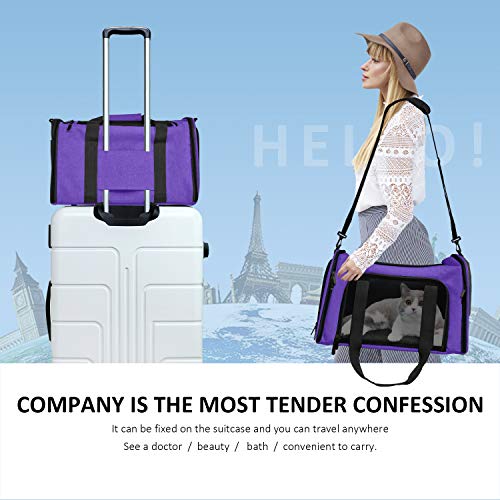 Pet Carrier for Small Medium Cats Dogs Puppies up to 15 Lbs (17.0"L x 11.0"W x 11.0"H / Purple)