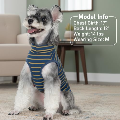 2Pack Dog Sweater for Small Dogs Soft Pet Coats Fleece Sweatshirt (Large (12-18lbs) / 2# Stripe+Navyblue)
