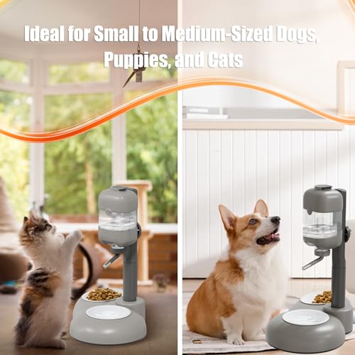 Puppy Bowls for Small Dogs (Gray)