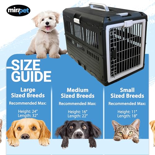 Collapsible Pet Carrier for Large Dogs & Cats (Large - Gray / without kit)