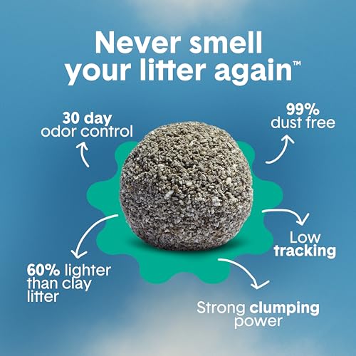 Boxie Scented Lightweight Cat Litter 30+ Day Odor Control Dust Free 16.5 lb (3 MONTH (16.5 LB))