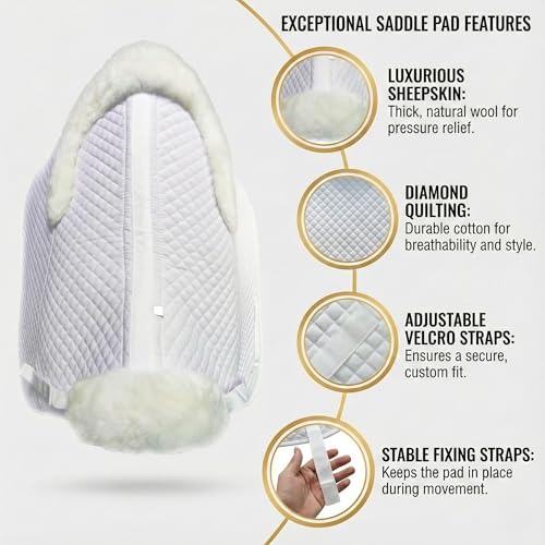 Dressage Saddle Pad Sheepskin Trim Lambskin Wool Fleece White (White/Ivory)