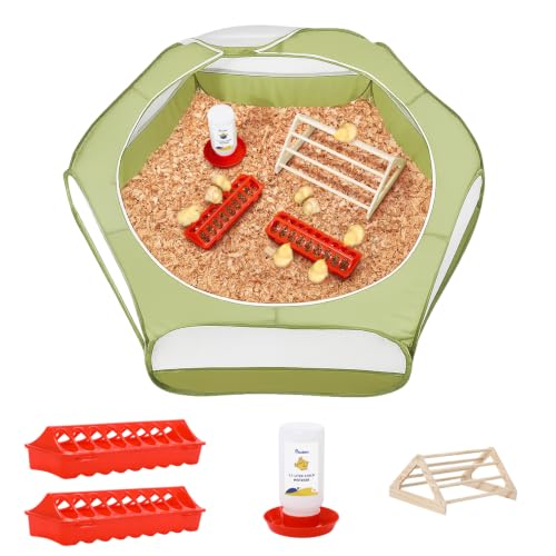 Chick Brooder Box for Chick Starter Kit (Z-Green + Red + Wood Color)