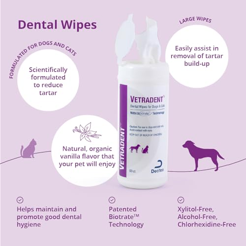 Dental Wipes 60 ct (60ct / White)