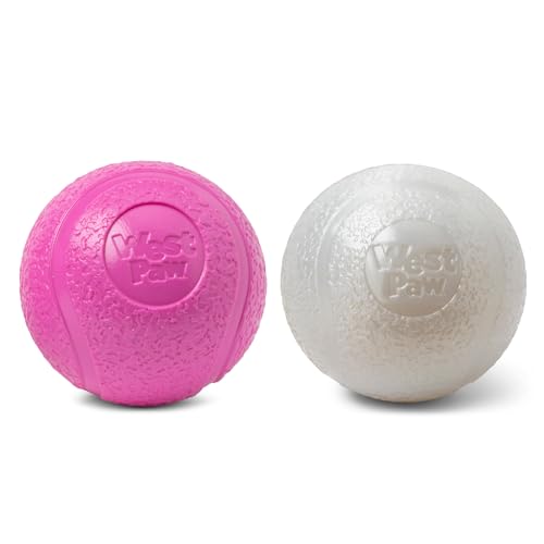 Boundr Ball Dog Fetch Toy (Small (Pack of 2) / Hot Pink/Glow)