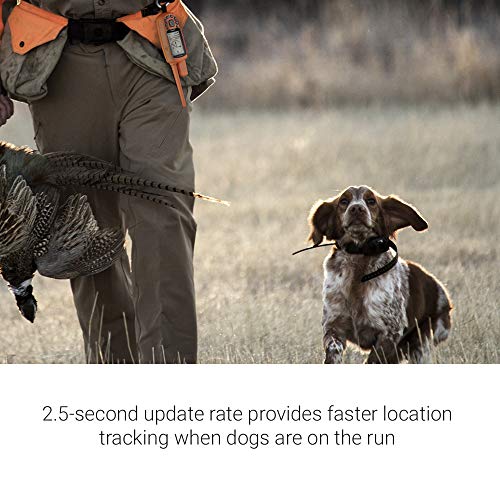 Astro 900 Dog Tracking Dog Collar
