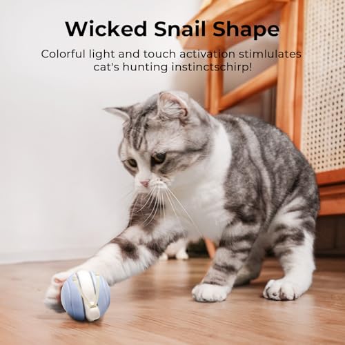Interactive Cat Toy for Indoor Cats (Blue)