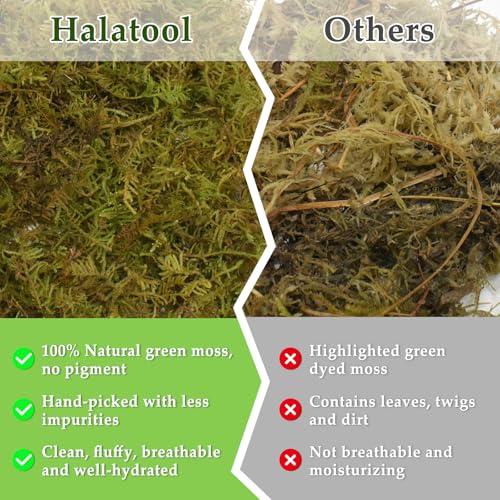 9 OZ Sphagnum Moss for Reptiles (9OZ)