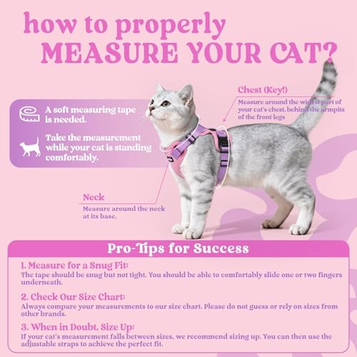 Cat Harness and Leash Set (Xxs / Pink & Light Purple)
