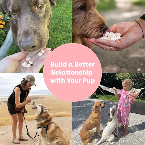 Freeze Dried Dog & Puppy Training Treats (4 Ounce (Pack of 1))