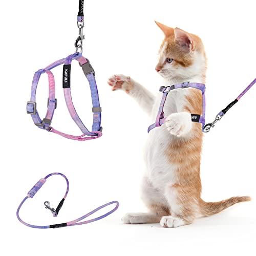 Cat Harness and Leash Set (Gradient Purple)