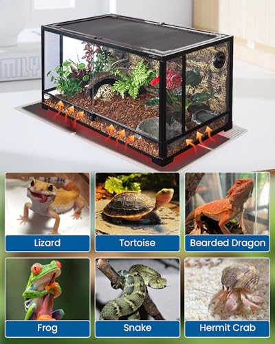 Reptile Terrarium Heat Pad with LCD Digital Aquarium Thermometer (14W, 11*11 in)