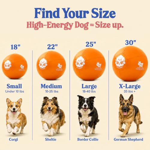 25" Herding Ball for Dogs (Tangerine - L 25" Herding Ball Set / L 25")