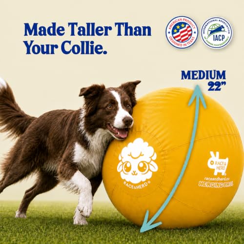 22" Original Herding Ball for Dogs (Gold - M 22" Herding Ball Set / M 22")