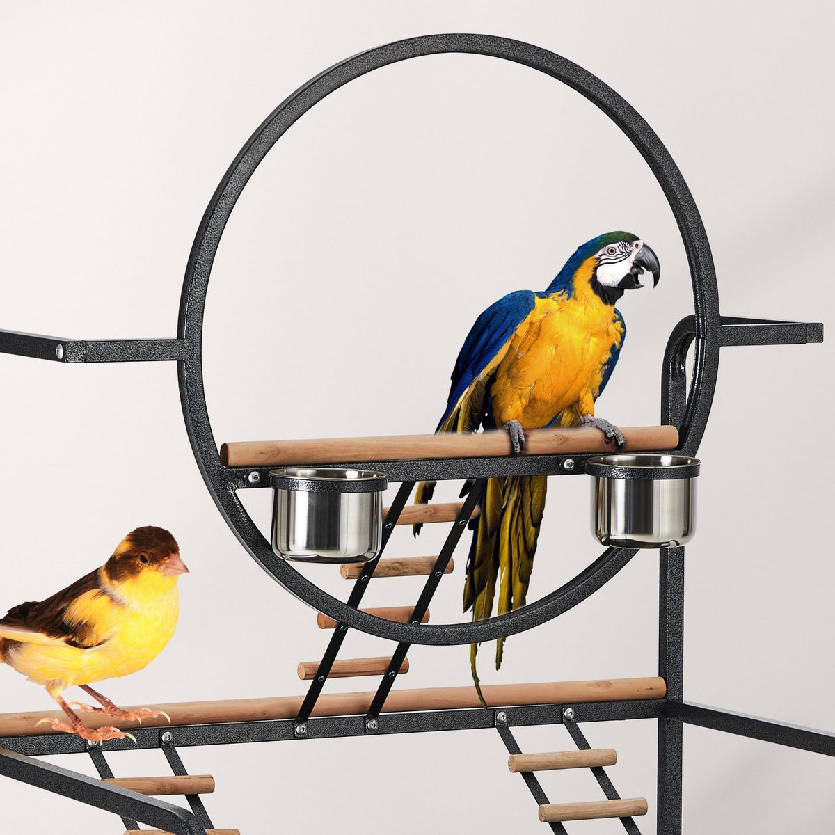 Bird Playstand (66‘’ H)