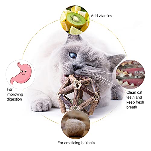 Catnip Toys 2Pcs Natural Silvervine Stick Catnip Ball&Bell Ball (Catnip Ball)